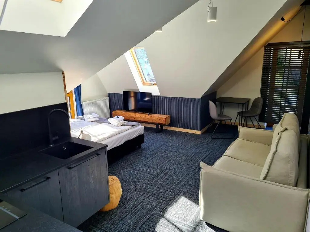 Standard Double room (full double bed)
