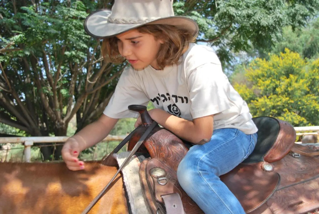Vered Hagalil Holiday Village - Général