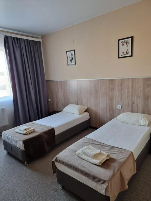 Standard Double room (twin beds)