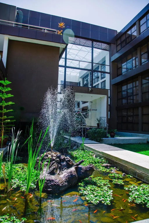 1 Bedroom Apartment with pool view