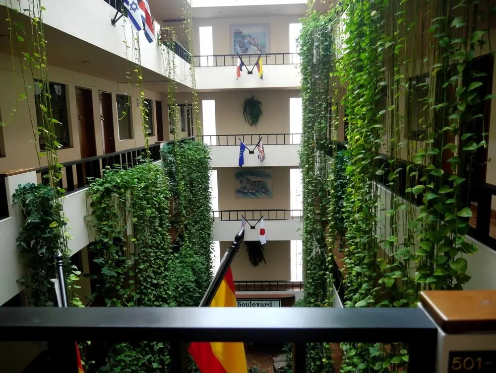 images