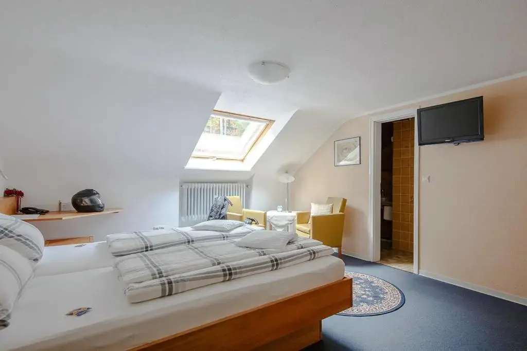 Standard Double room (full double bed)