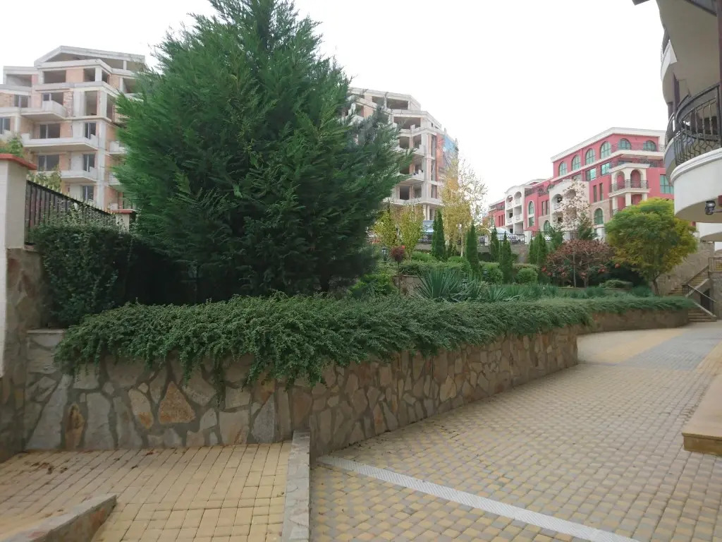 Image 8