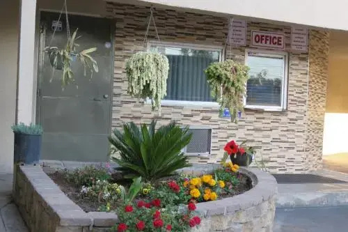 Foxys Den Motel - Général