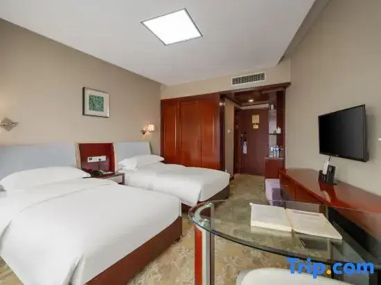 Standard Double room with city view (twin beds)