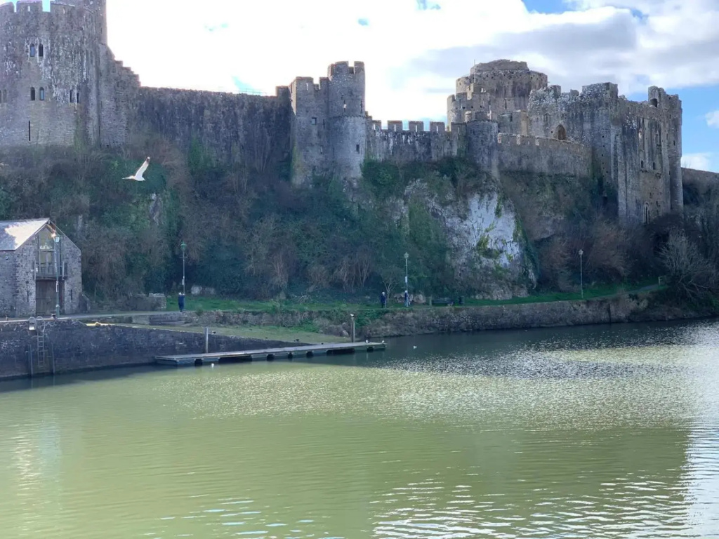 Mill Pond View