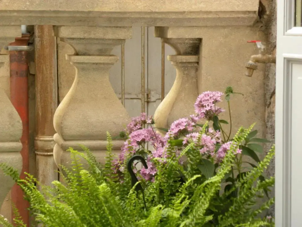 La Terrasse du Marché aux Fleurs - Général