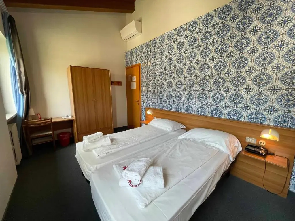 Standard Single room with mountain view