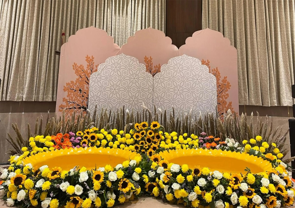 Radisson Hotel Nathdwara - фото 24