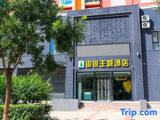 Datong Borui Theme Hotel — 3