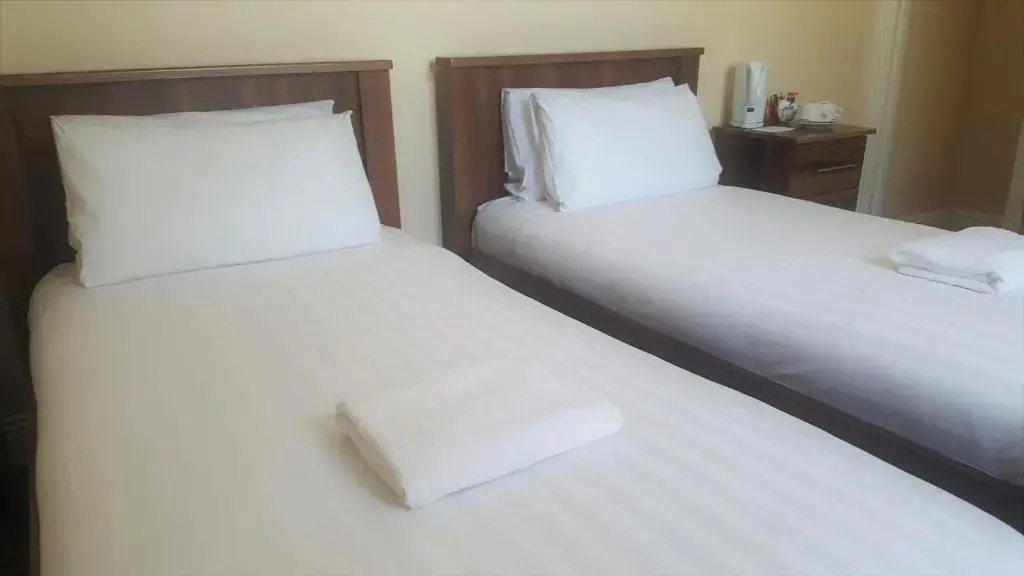 Standard Double room (twin beds)