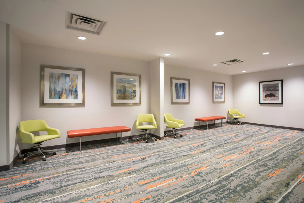 Hampton Inn & Suites Denver-Downtown - Général