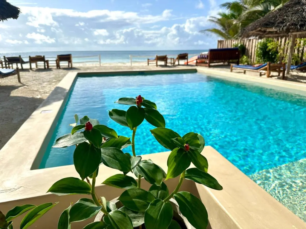 African Paradise Beach Hotel - Général