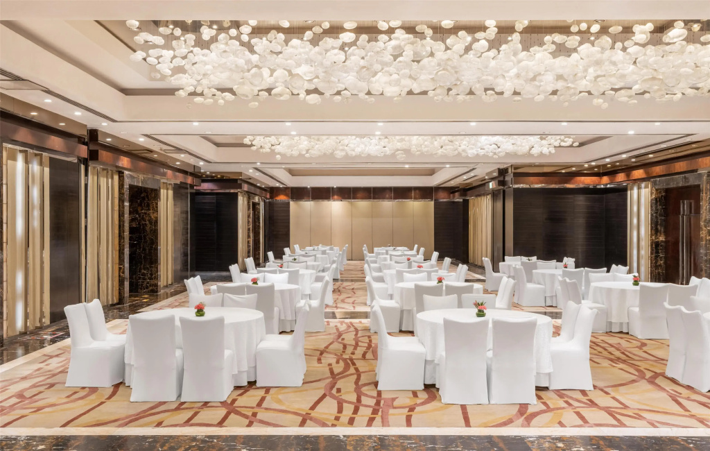 Radisson Blu Plaza Delhi Airport - фото 42