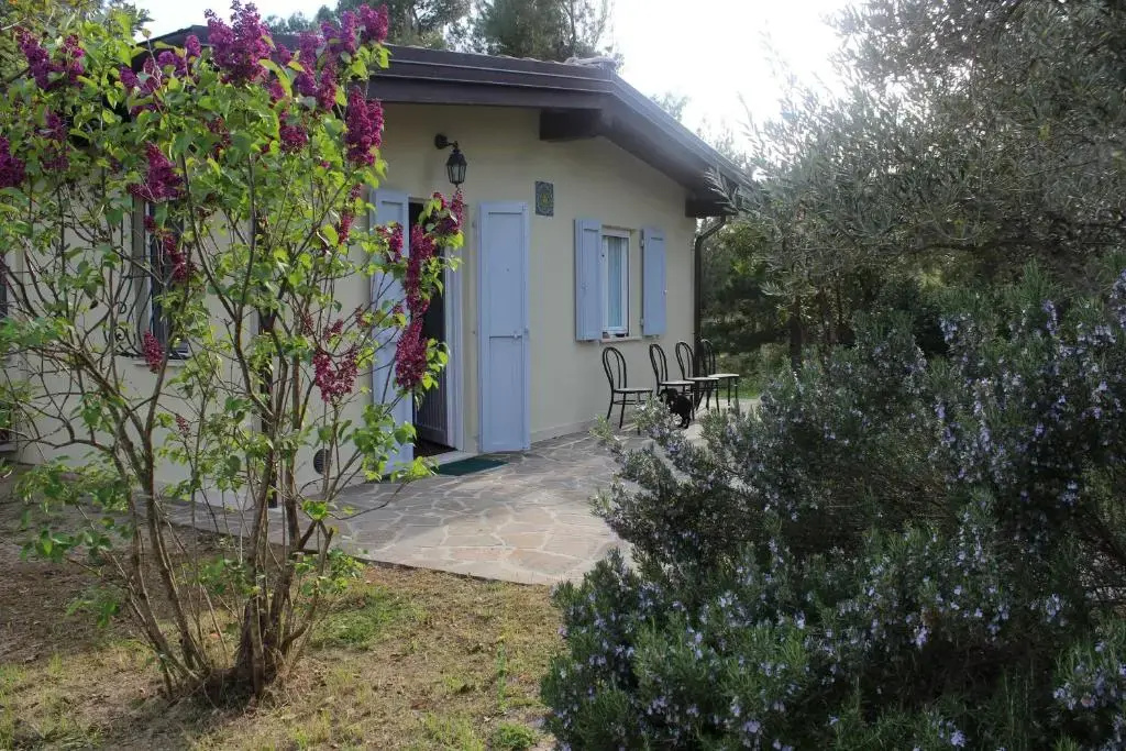 La Celletta Country House - Chambres