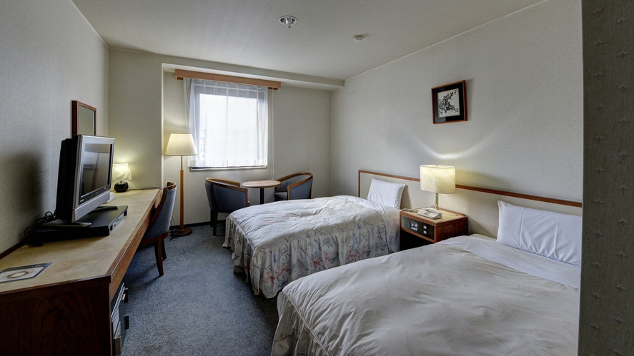 Standard Double room with mountain view (twin beds)