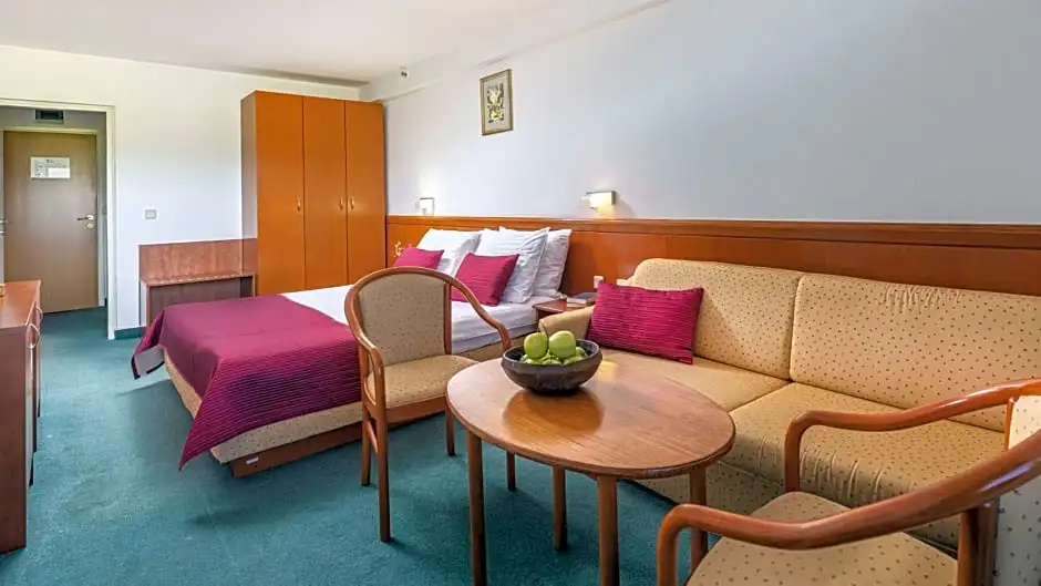 Hotel Jezero Plitvice Lakes - Chambres