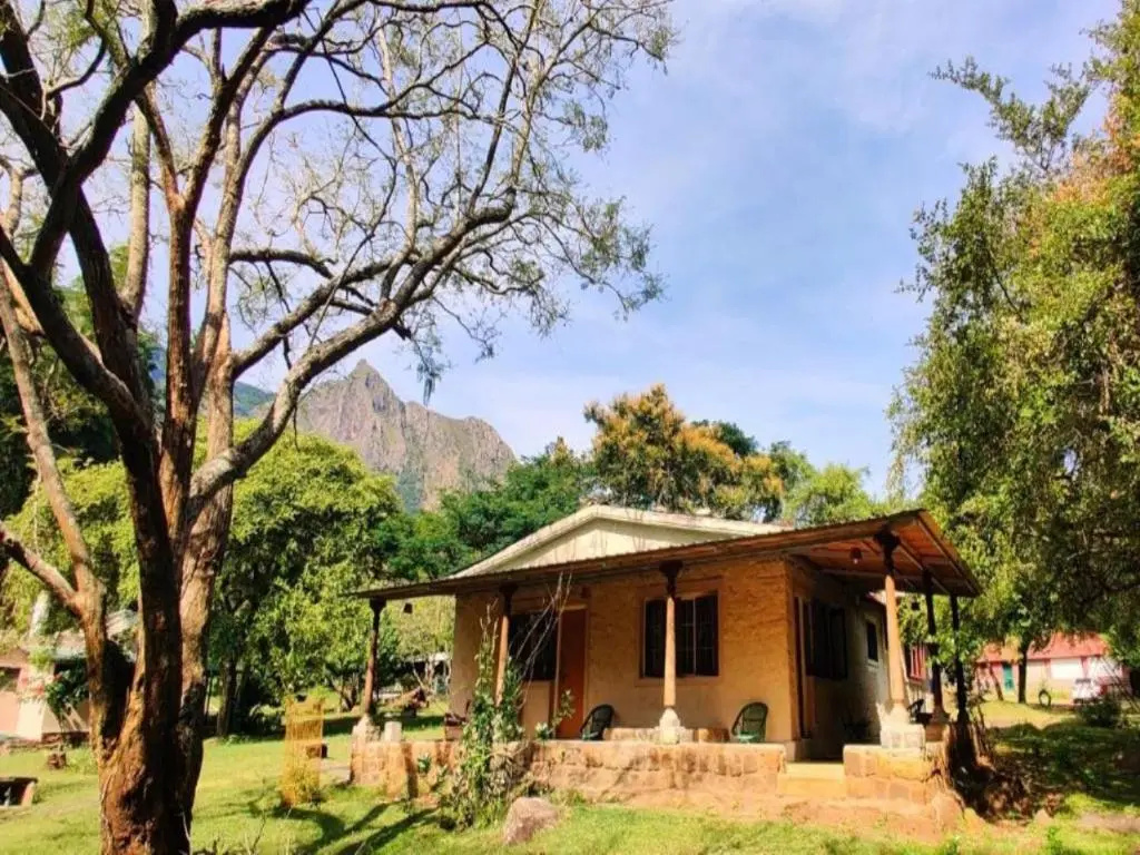 Jungle Hut Resorts - Chambres