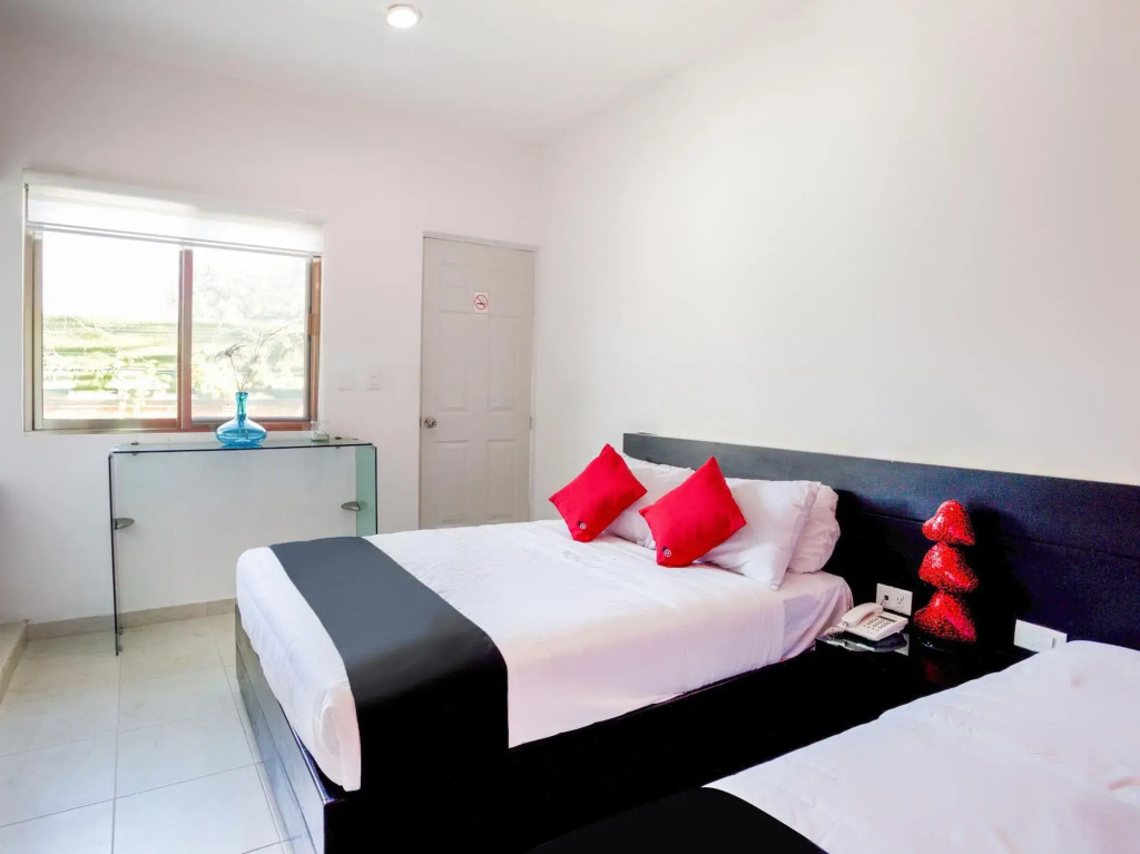 Hotel Quinta Santa Anita - Général