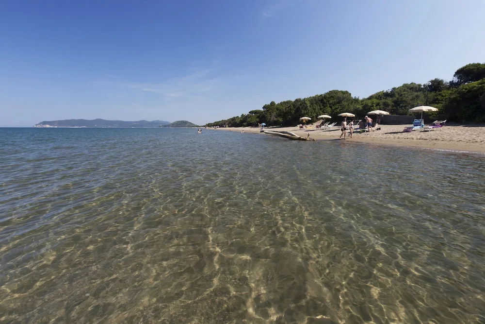 Beach & Waterfront