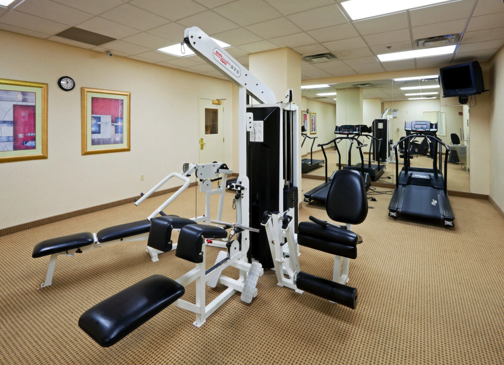 Holiday Inn Chantilly-Dulles Expo Center by IHG - Général