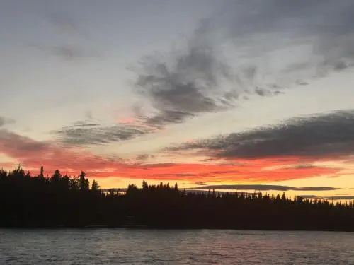 Arctic Wolf Lodge