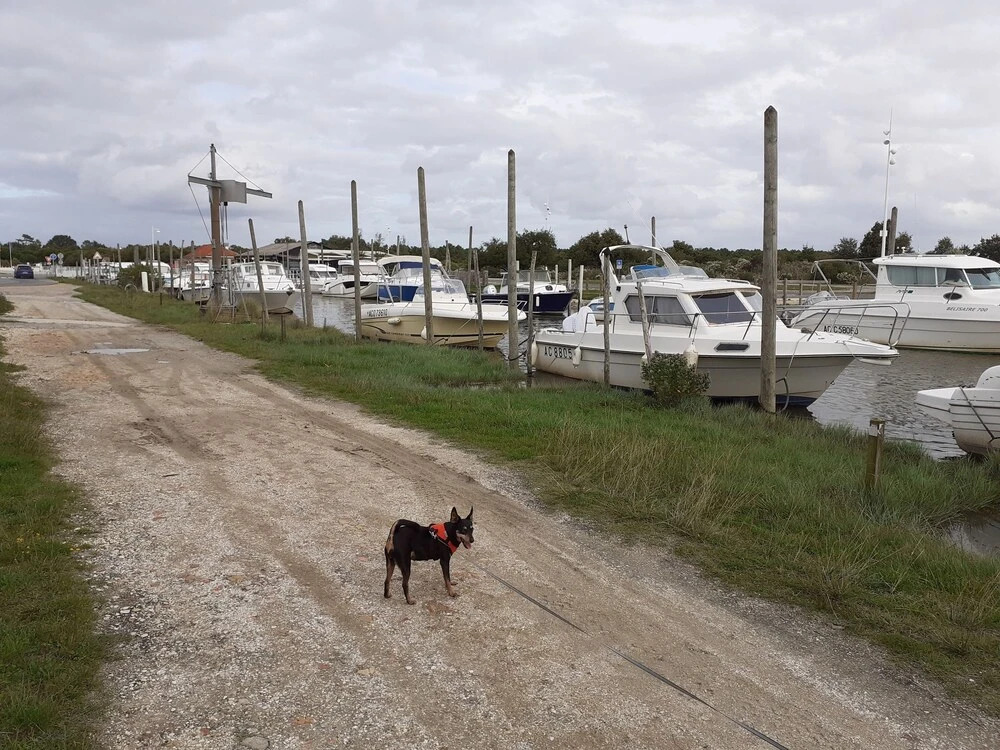 Image 7