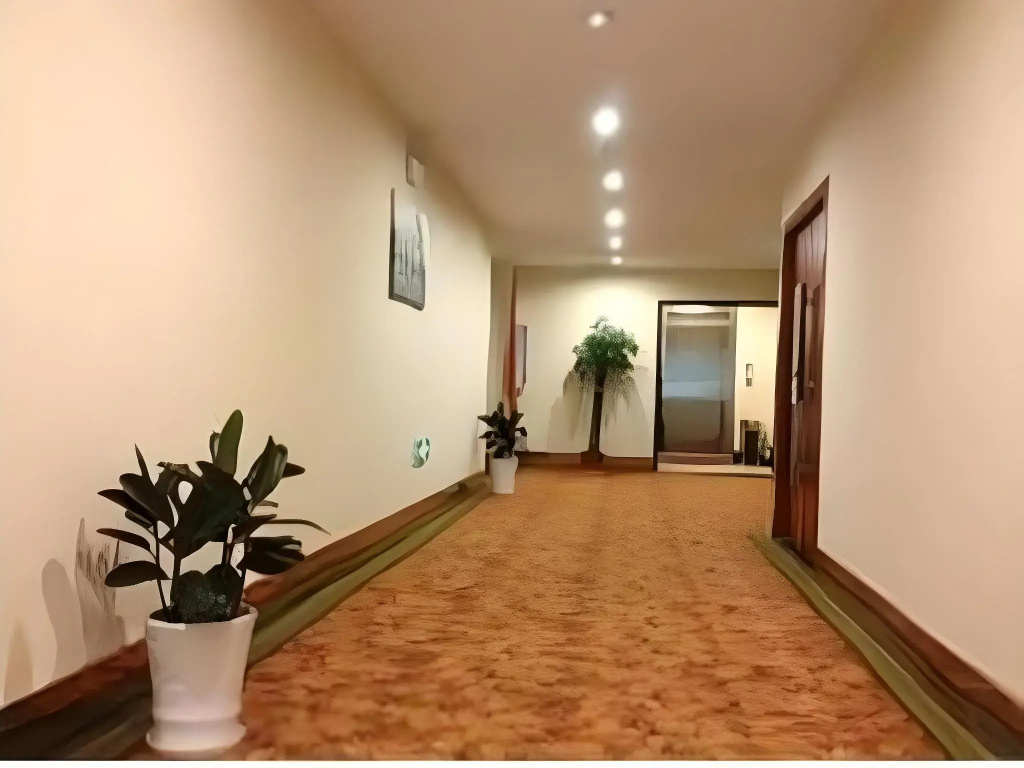 GreenTree Inn Jiangxi Yingtan Railway Station Square Business Hotel - Général