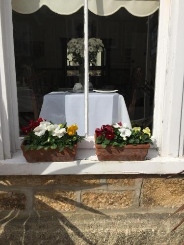 Lynwood Guesthouse