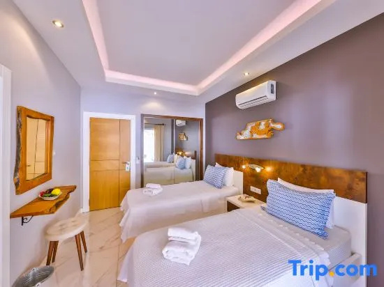 Comfort Double room (twin beds)