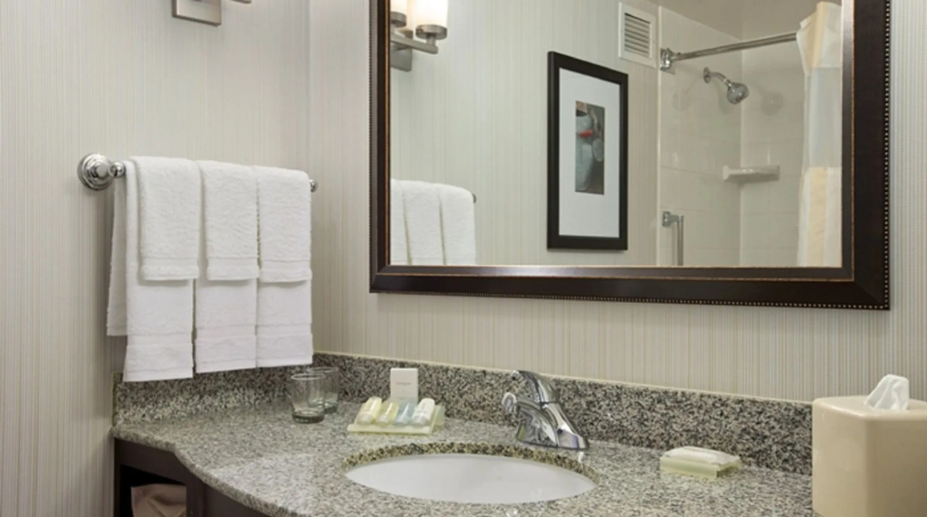 Hilton Garden Inn Hoffman Estates - Général
