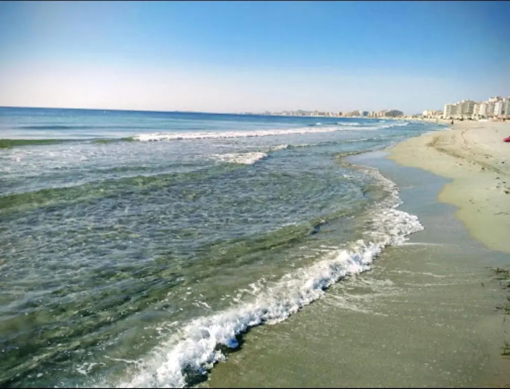 Beach & Waterfront