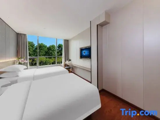 Comfort Double room with city view (twin beds)