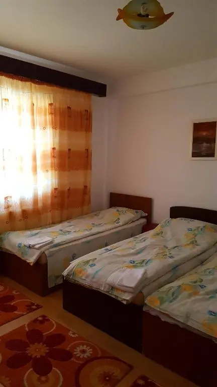 Pensiunea Anda - Chambres