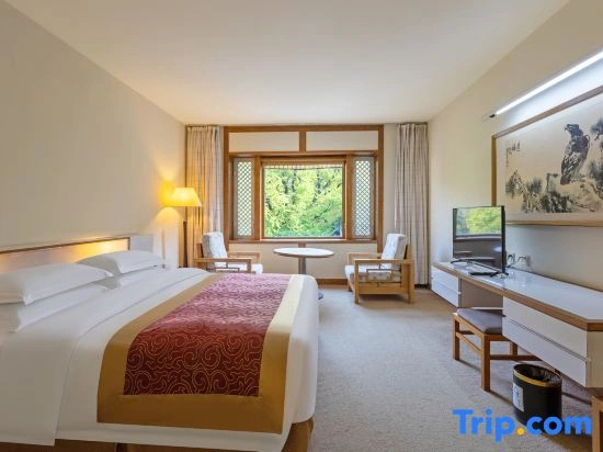 Double Suite with courtyard view (full double bed)