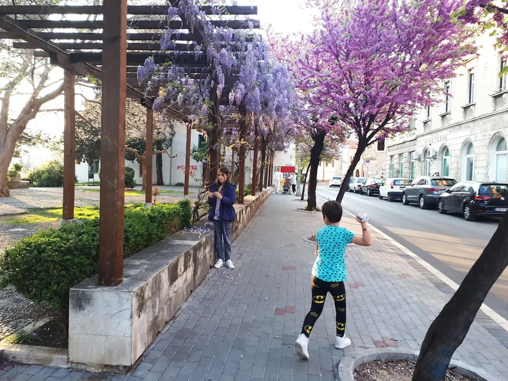 Hotel photo 25