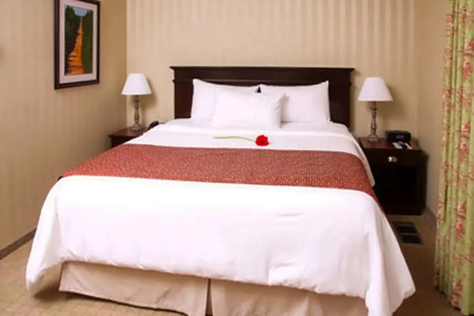 Quality Inn & Suites Downtown - Chambres