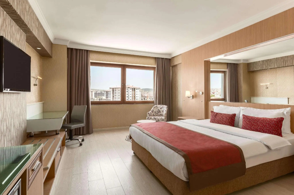 Standard Double room (full double bed)