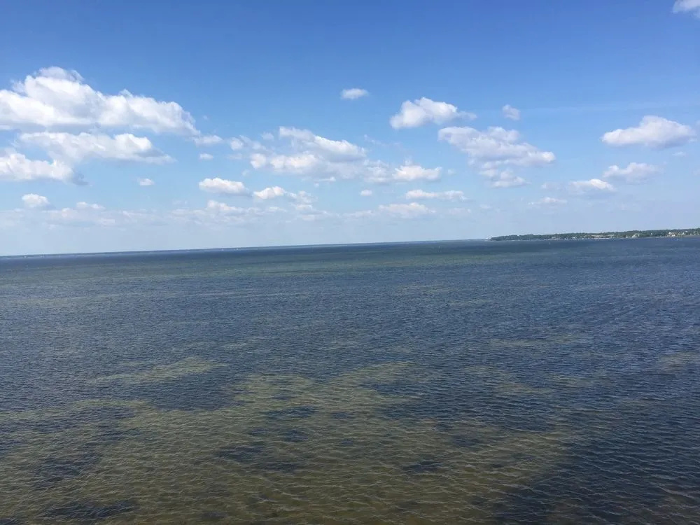 Beach & Waterfront