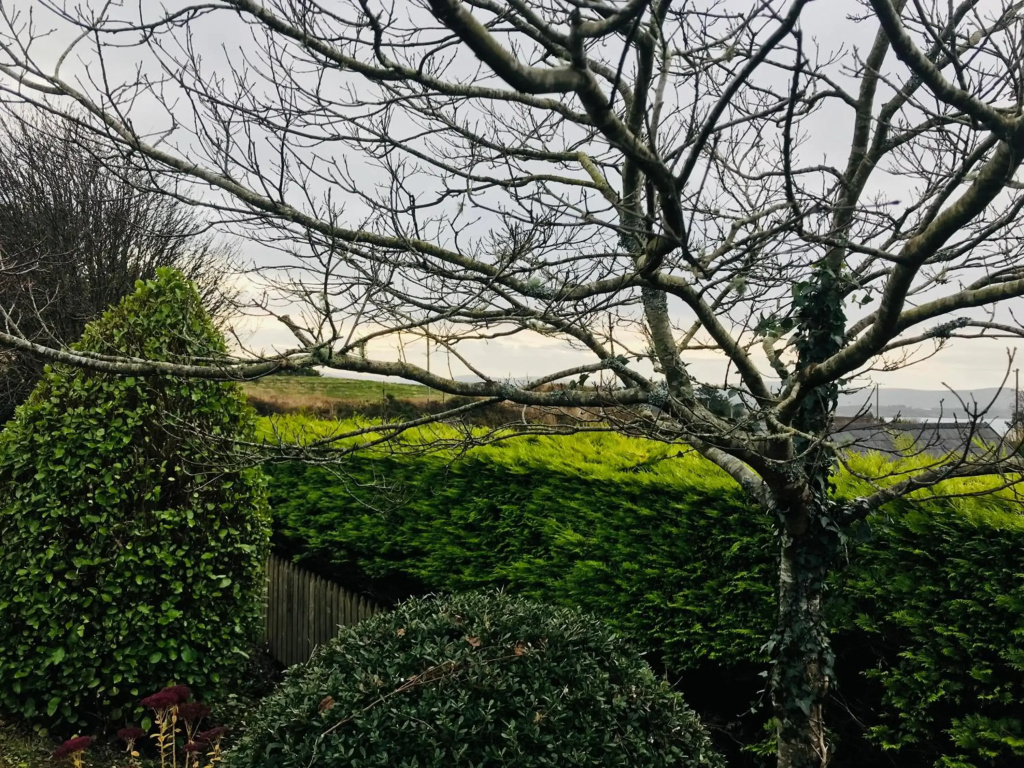 Hill Sea View Cottage