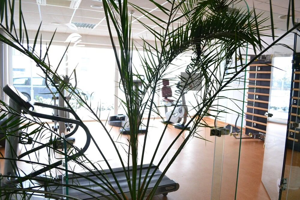 Szépia Bio & Art Hotel - фото 14