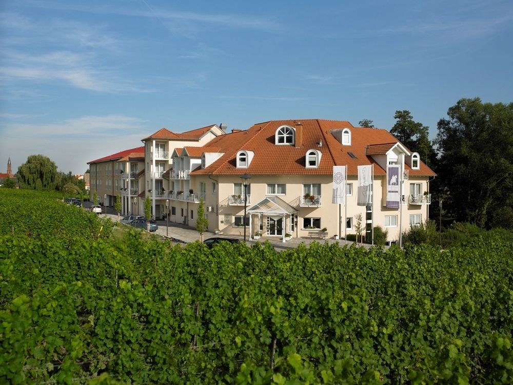 Image 22