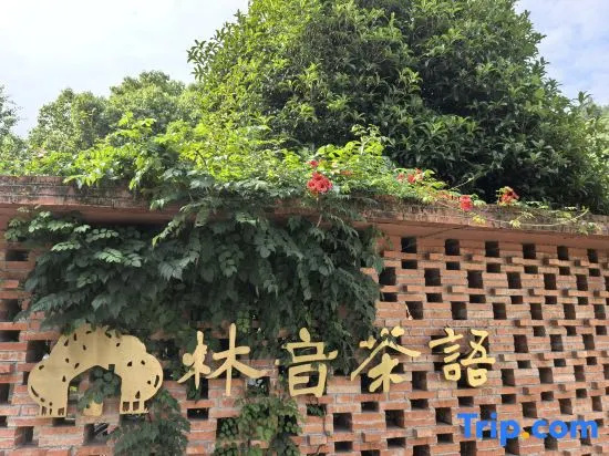 Changxing Lin Yin tea language homestay