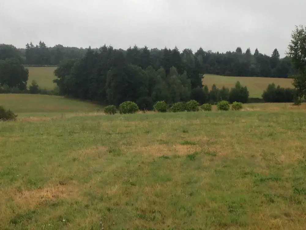 Chambres d'hôtes des Forêts