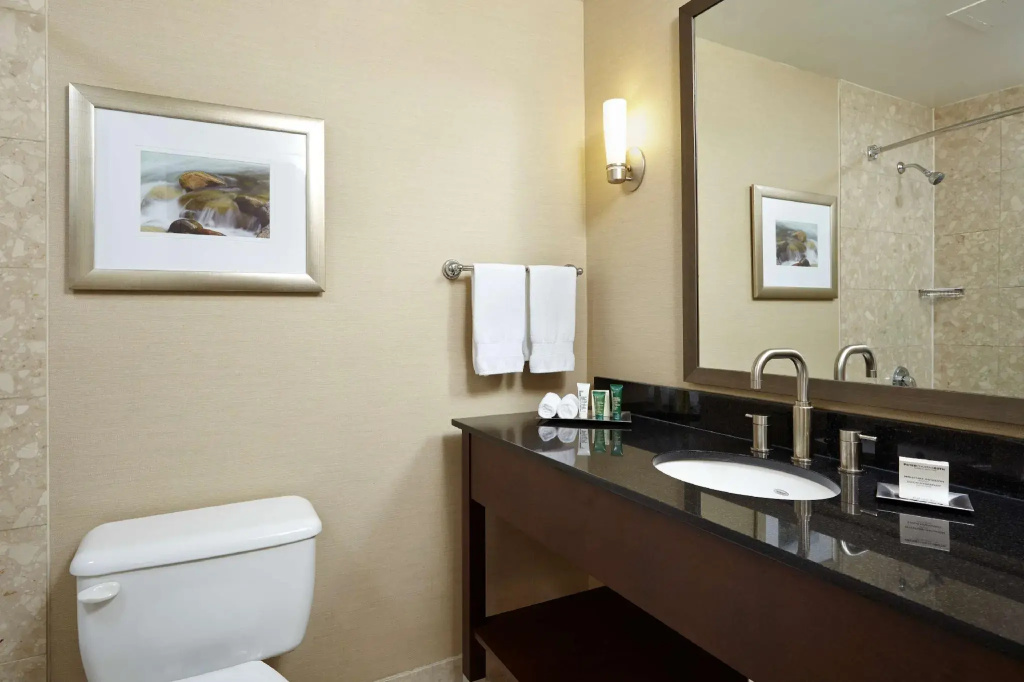 Standard Double room with city view (full double bed)