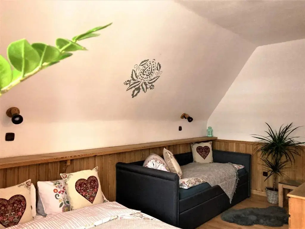 Marina Zakopane - Chambres