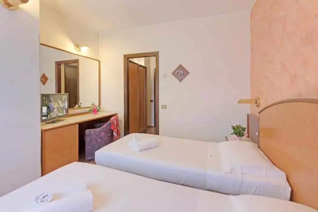 Classic Double room (twin beds)