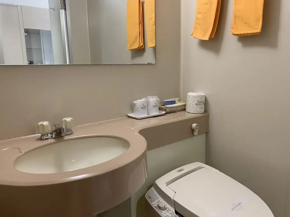 Standard Double room (twin beds)