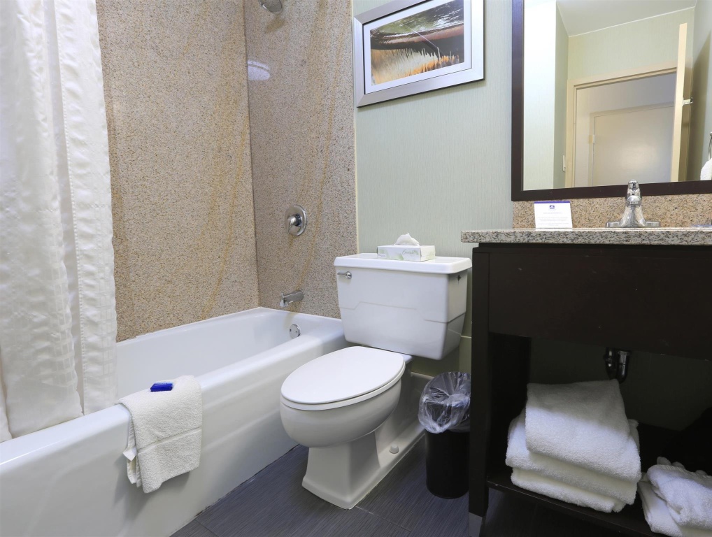 Wyndham Garden Kenosha Harborside Room Type - Standard Double room with city view (full double bed)