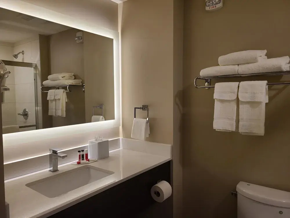1 Bedroom Suite